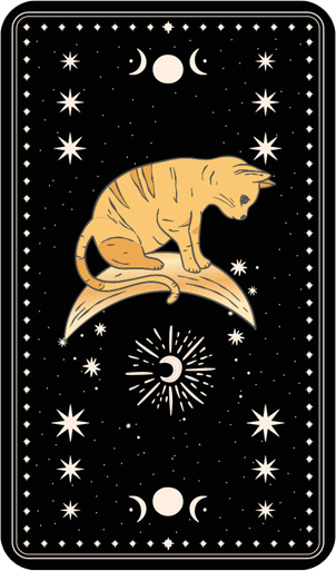 카드 1 - 과거의 별빛